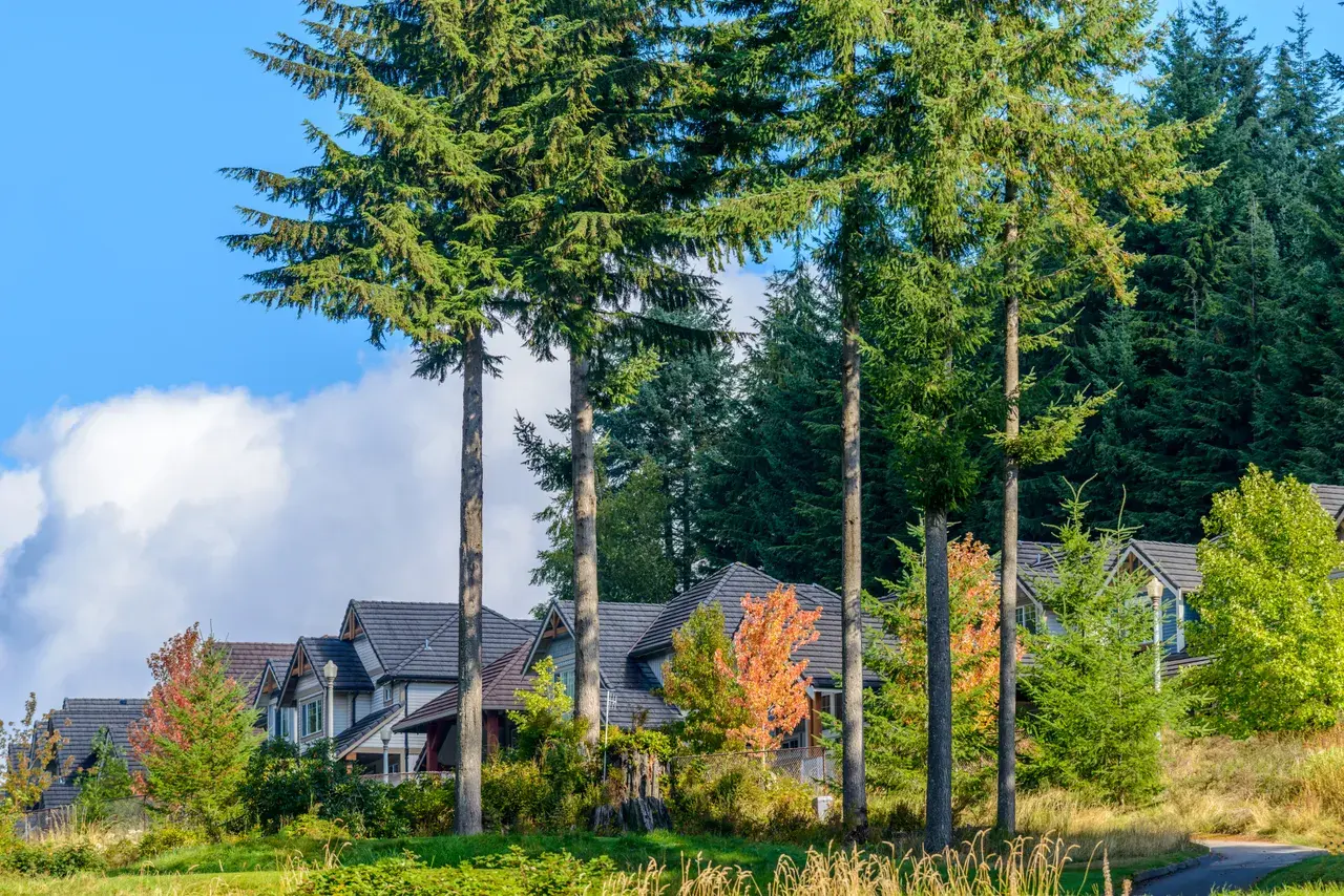 Wildfire-prone residential community